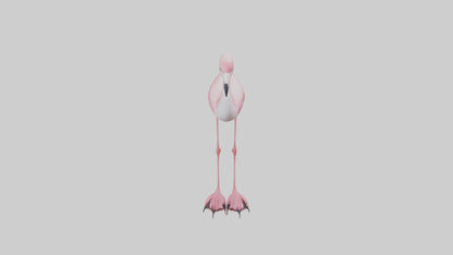 Flamingo Legs Model 3D model
