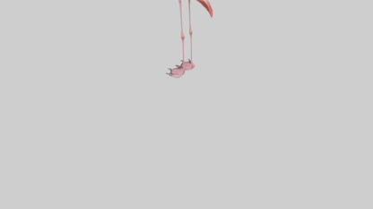 Flamingo Legs Model 3D model