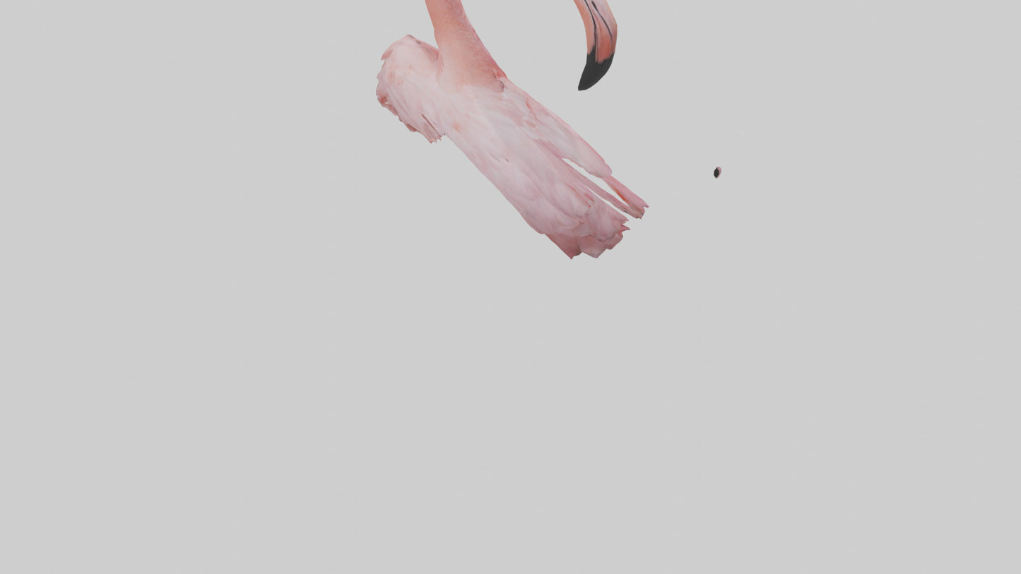 Flamingo Neck 3D model