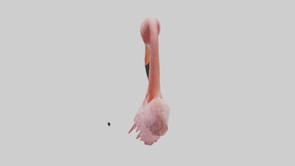 Flamingo Neck 3D model