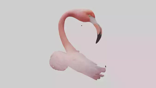 Flamingo Neck 3D model