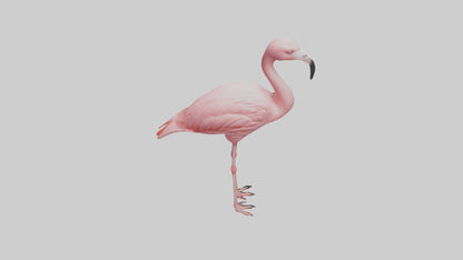 Flamingo perched model VR / AR / low-poly