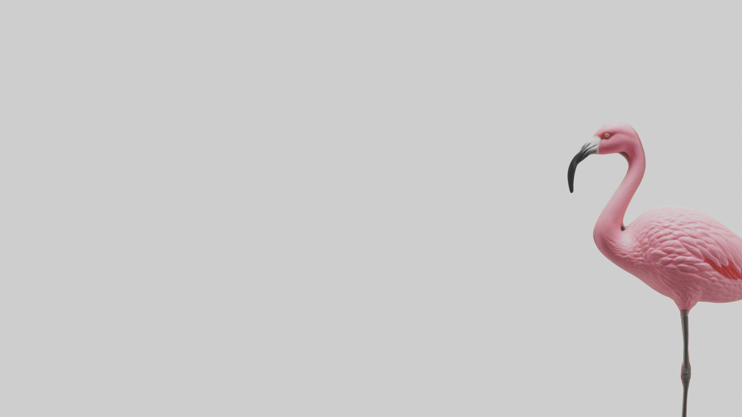 Flamingo perched model VR / AR / low-poly