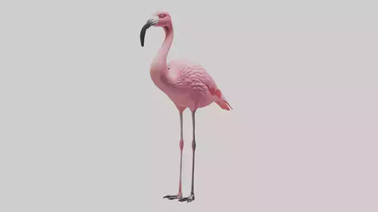 Flamingo perched model VR / AR / low-poly