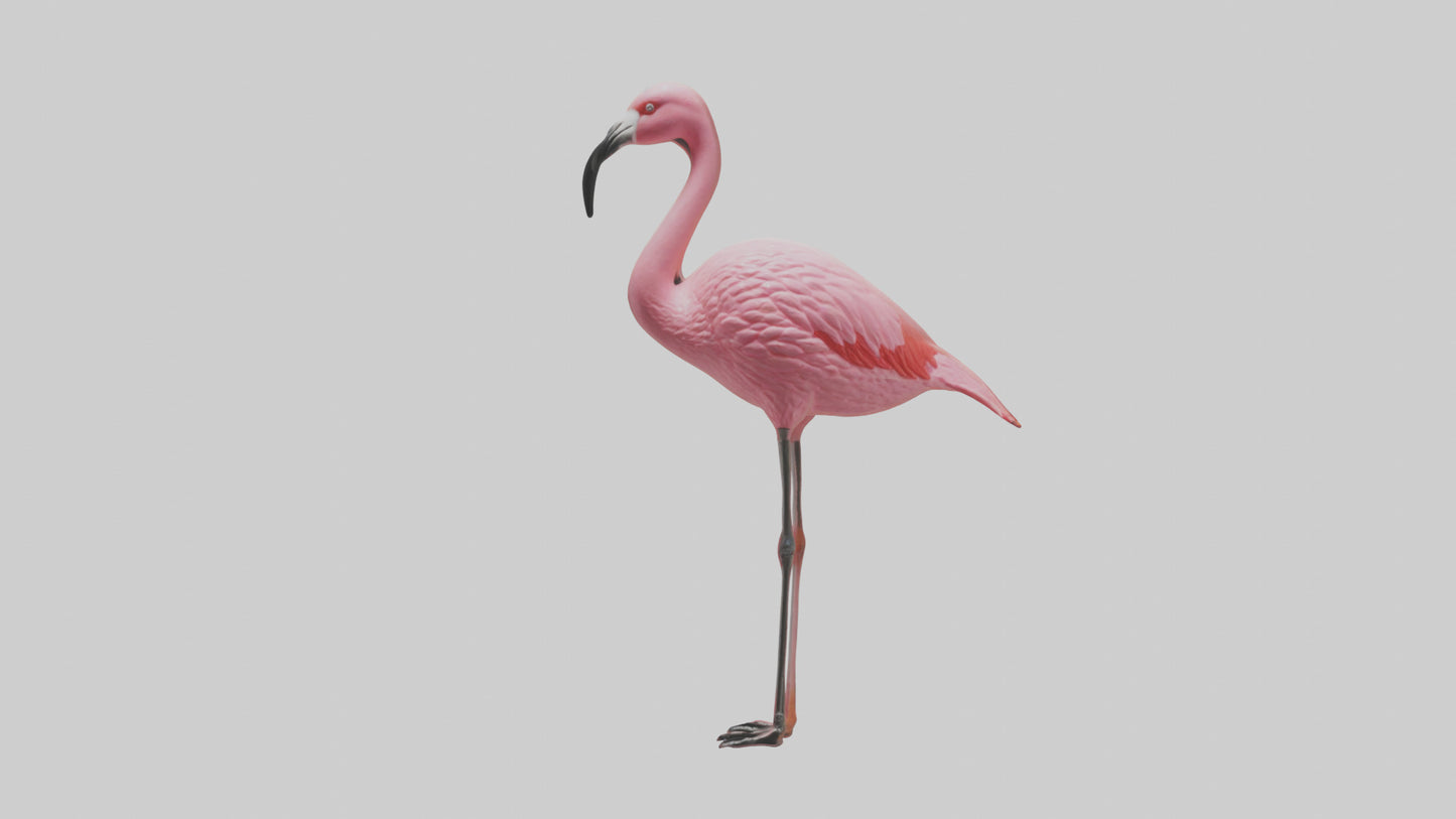 Flamingo perched model VR / AR / low-poly
