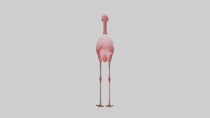 Flamingo perched model VR / AR / low-poly