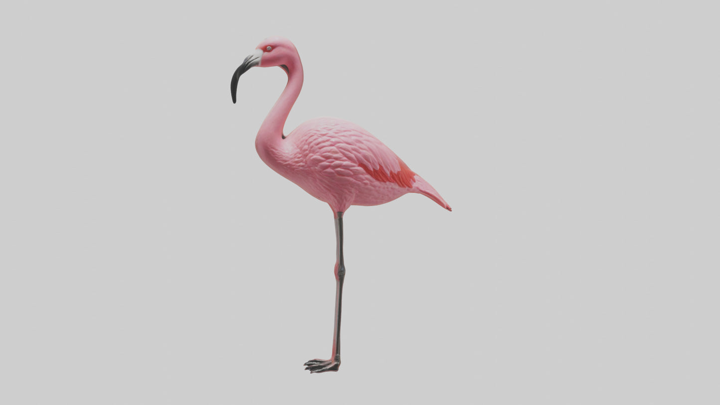 Flamingo perched model VR / AR / low-poly