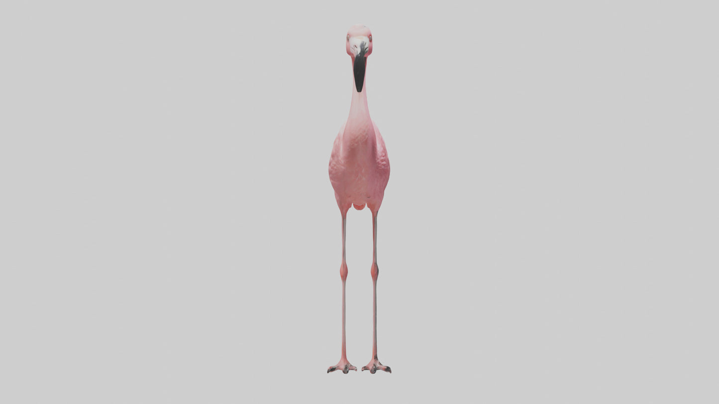 Flamingo perched model VR / AR / low-poly