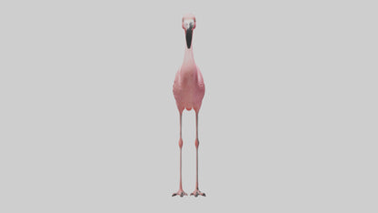Flamingo perched model VR / AR / low-poly