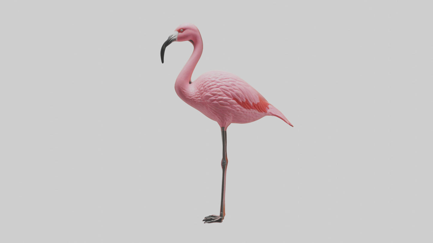 Flamingo perched model VR / AR / low-poly