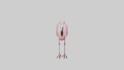 Flamingo perched model VR / AR / low-poly