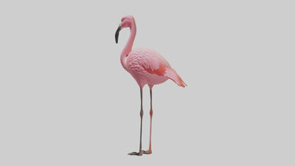 Flamingo perched model VR / AR / low-poly
