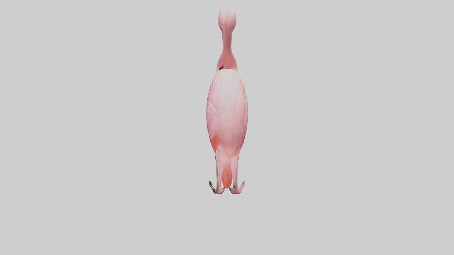 Flamingo perched model VR / AR / low-poly