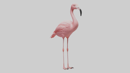 Flamingo perched model VR / AR / low-poly