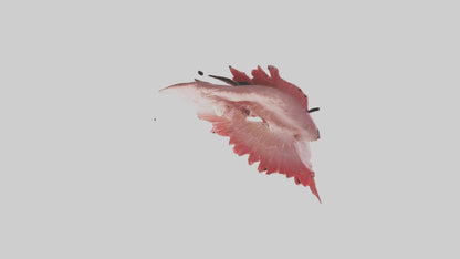 Flamingo Rib 3D model