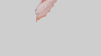 Flamingo Rib 3D model