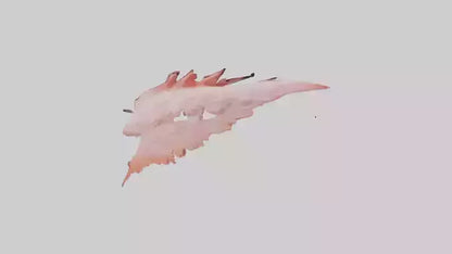 Flamingo Rib 3D model