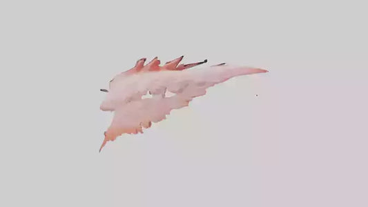 Flamingo Rib 3D model