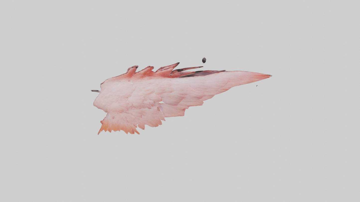Flamingo Rib 3D model