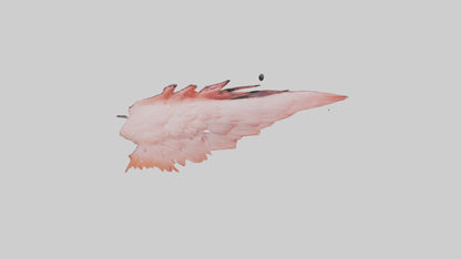 Flamingo Rib 3D model
