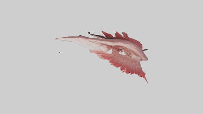 Flamingo Rib 3D model