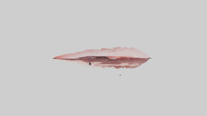 Flamingo Rib 3D model