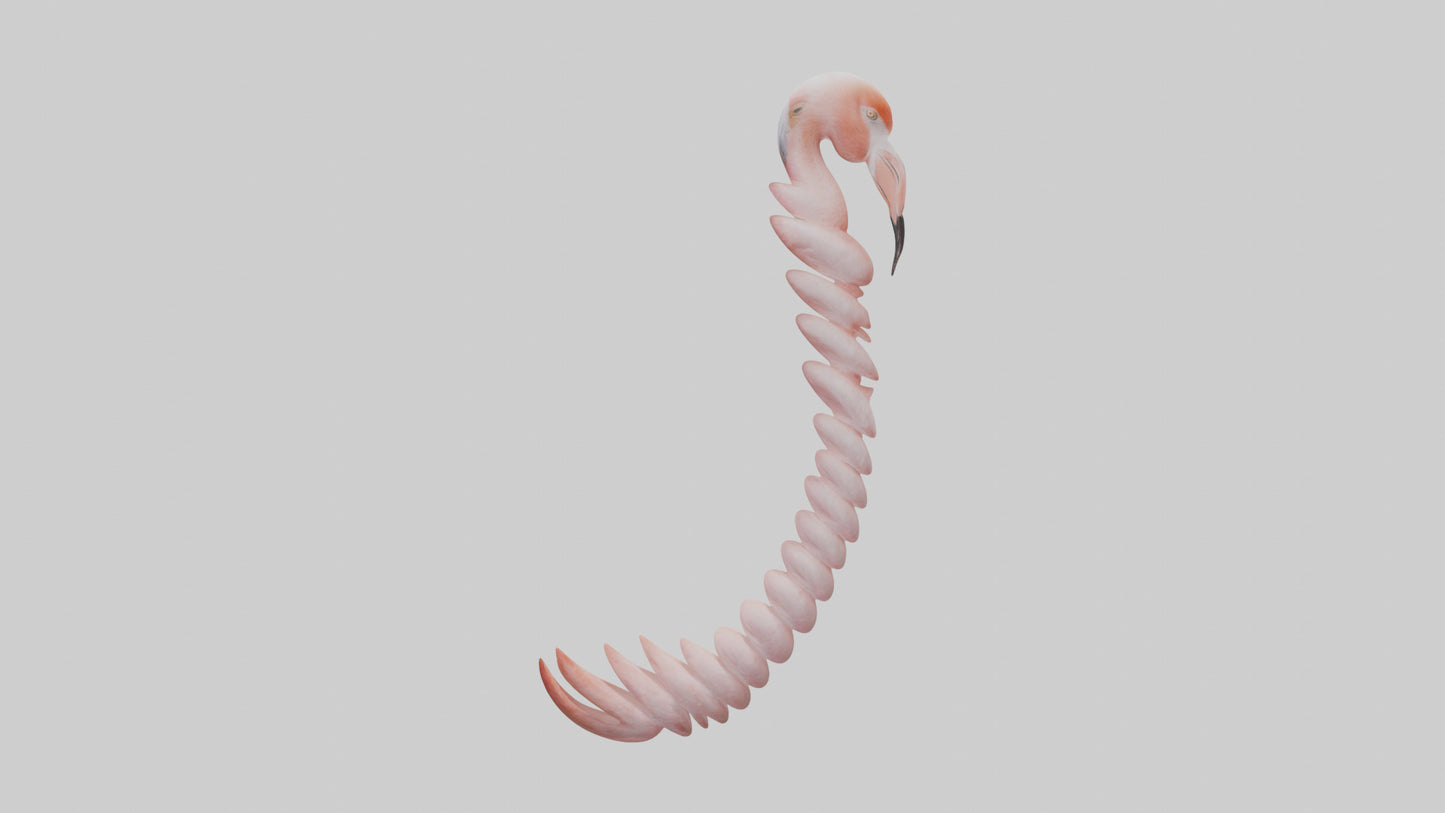 Flamingo Spine 3D model