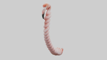 Flamingo Spine 3D model