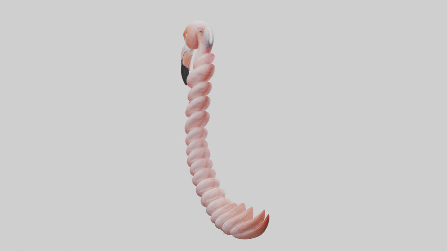 Flamingo Spine 3D model