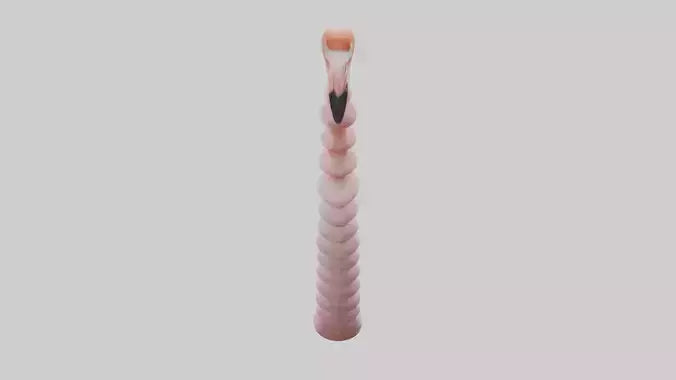 Flamingo Spine 3D model
