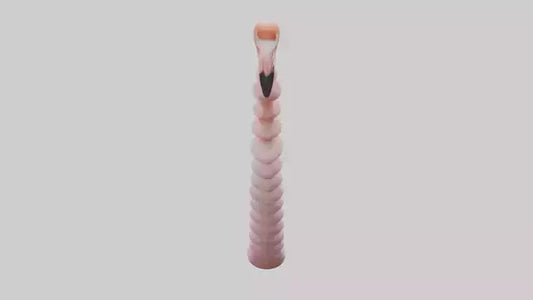 Flamingo Spine 3D model