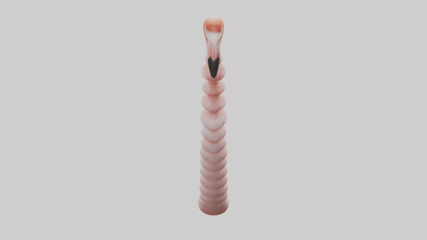 Flamingo Spine 3D model