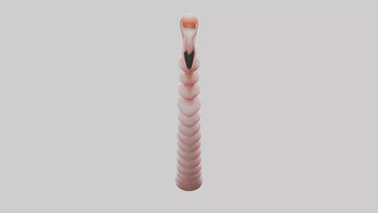 Flamingo Spine 3D model