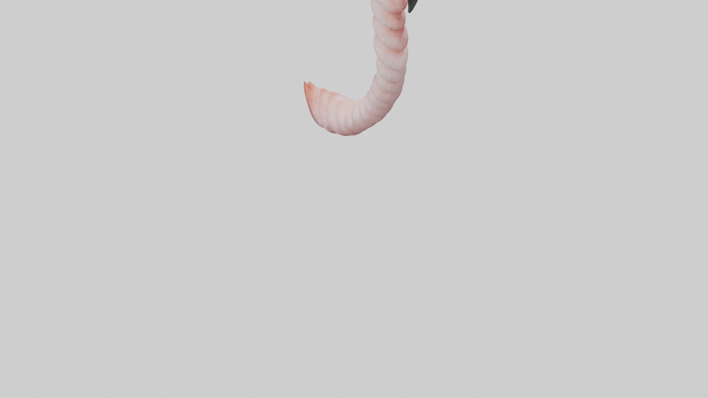 Flamingo Spine 3D model