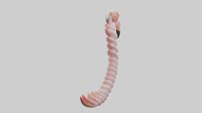 Flamingo Spine 3D model