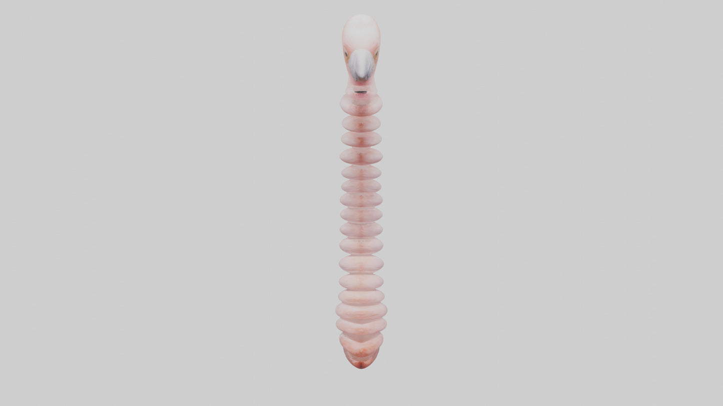Flamingo Spine 3D model