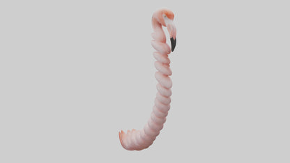 Flamingo Spine 3D model