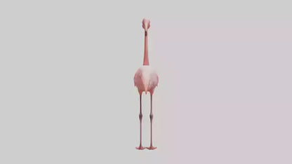 Flamingo standing on one leg model 3D model