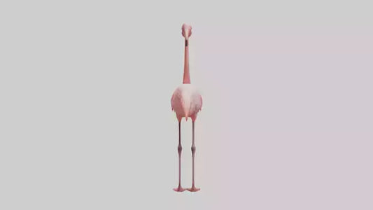 Flamingo standing on one leg model 3D model