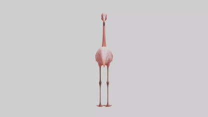 Flamingo standing on one leg model 3D model