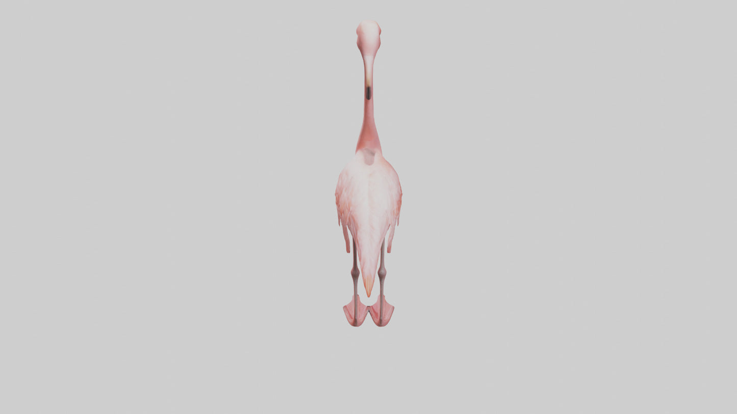 Flamingo standing on one leg model 3D model