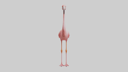 Flamingo standing on one leg model 3D model