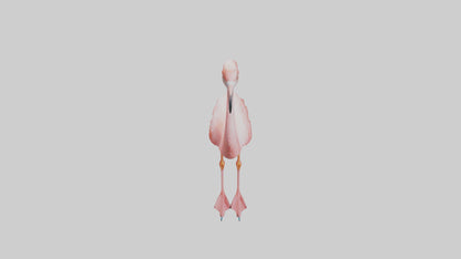Flamingo standing on one leg model 3D model