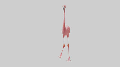 Flamingo wading model VR / AR / low-poly