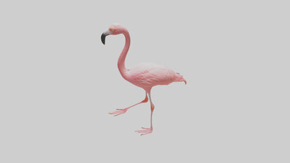Flamingo wading model VR / AR / low-poly