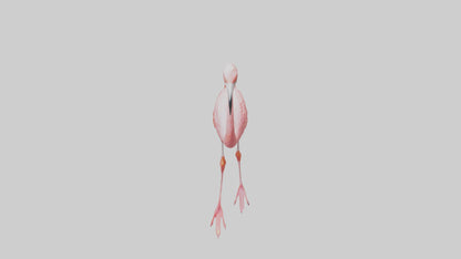 Flamingo wading model VR / AR / low-poly