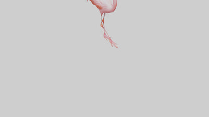 Flamingo wading model VR / AR / low-poly