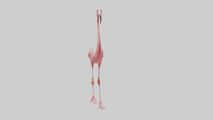 Flamingo wading model VR / AR / low-poly