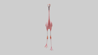 Flamingo wading model VR / AR / low-poly