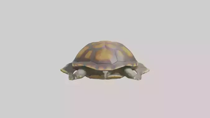 Flatback Turtle resting model VR / AR / low-poly